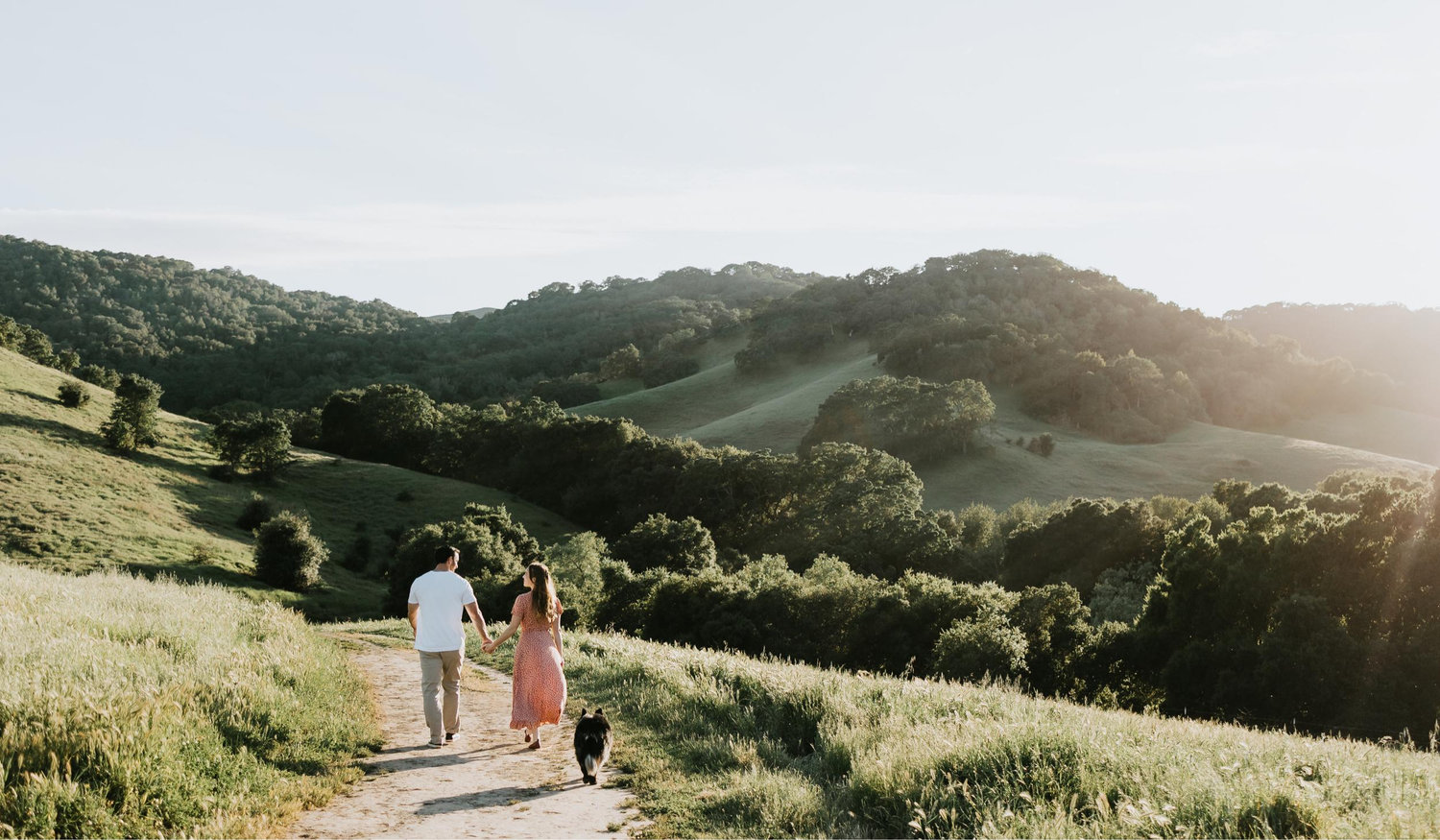 The Wedding Website of Courtney Collins and Nathan Yannone