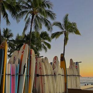 Surfing Lessons