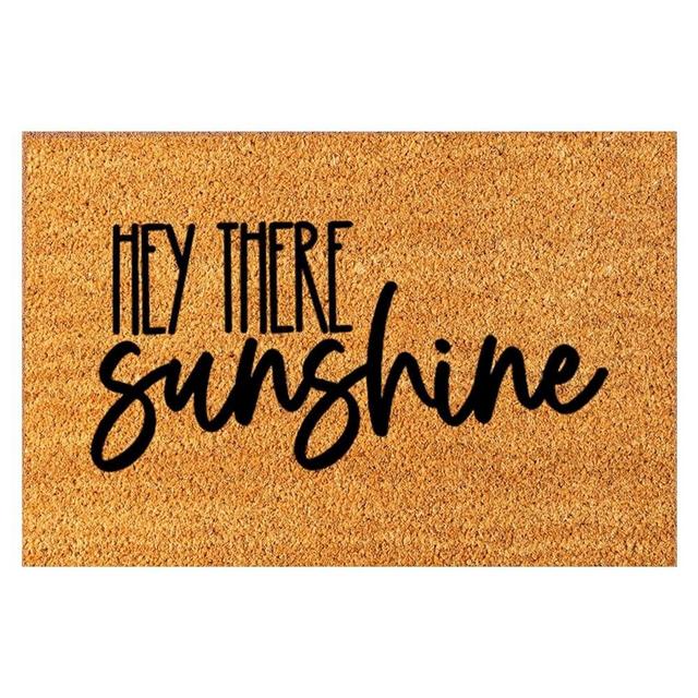 TUNKENCE Entrance Doormat Funny Welcome Doormat Front Door Mat Inside Entrance Hey There Sunshine Summer Mat Fun Summer Doorstep Beach Mat Front Door Entrance Rug for Home Living Room, 16x24Inch