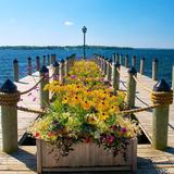 Wayzata