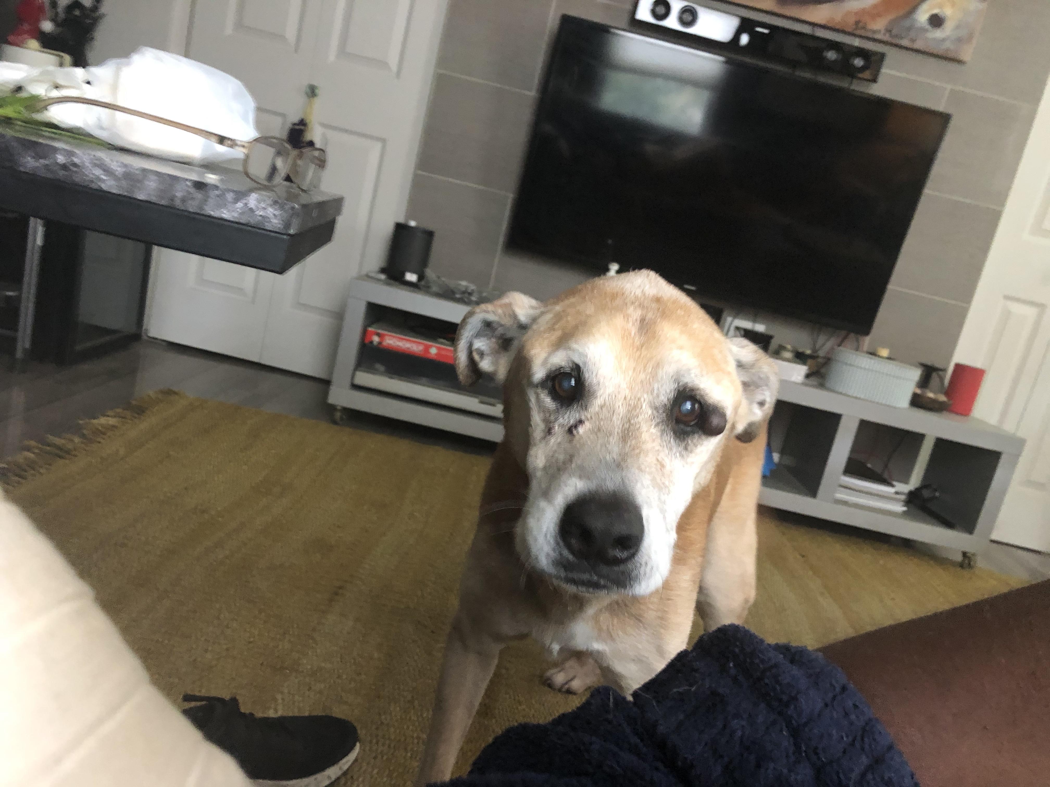 The Wedding Website of Brian Coleman and Antwain Cook