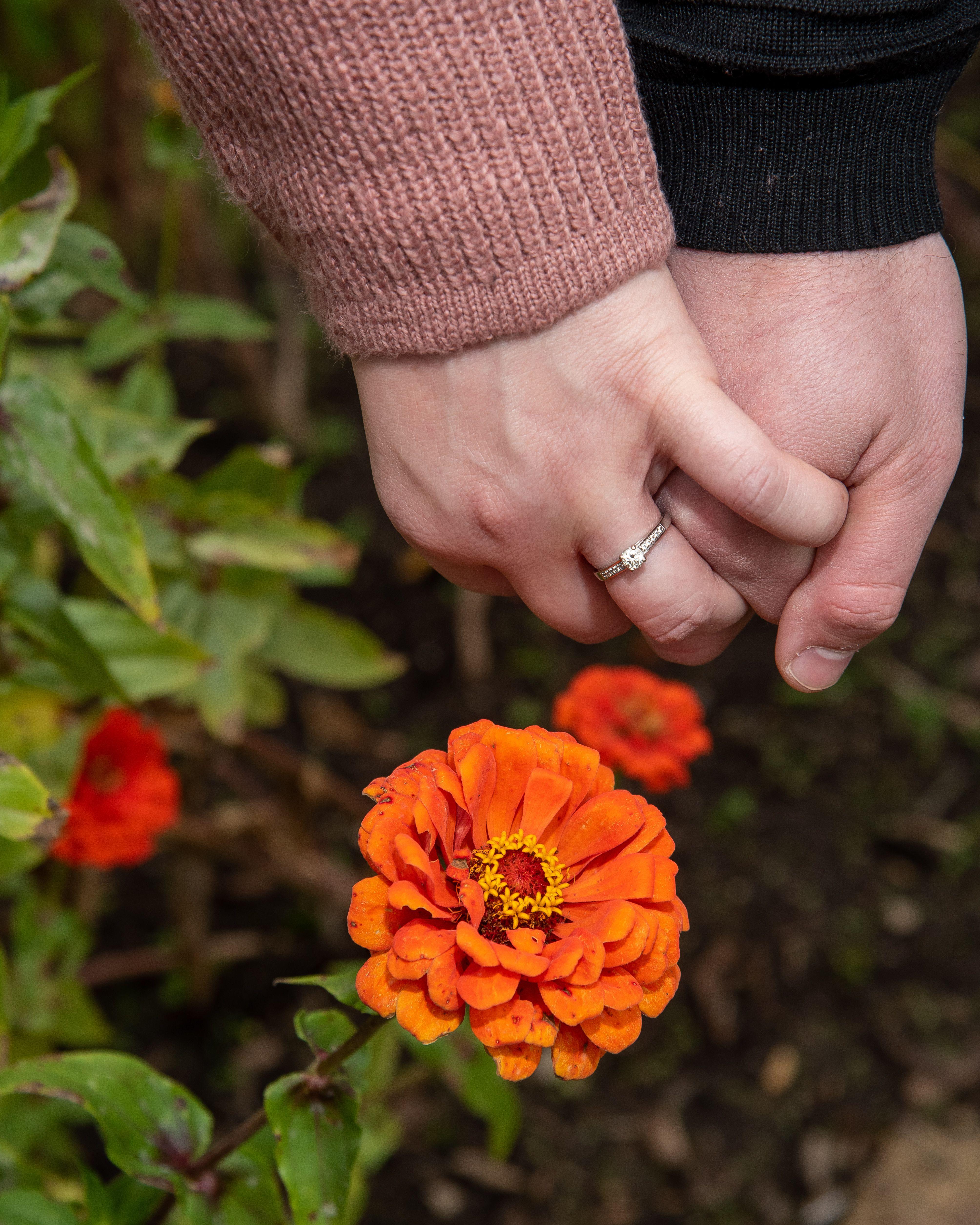 The Wedding Website of Kayla Hott and Carl Benson