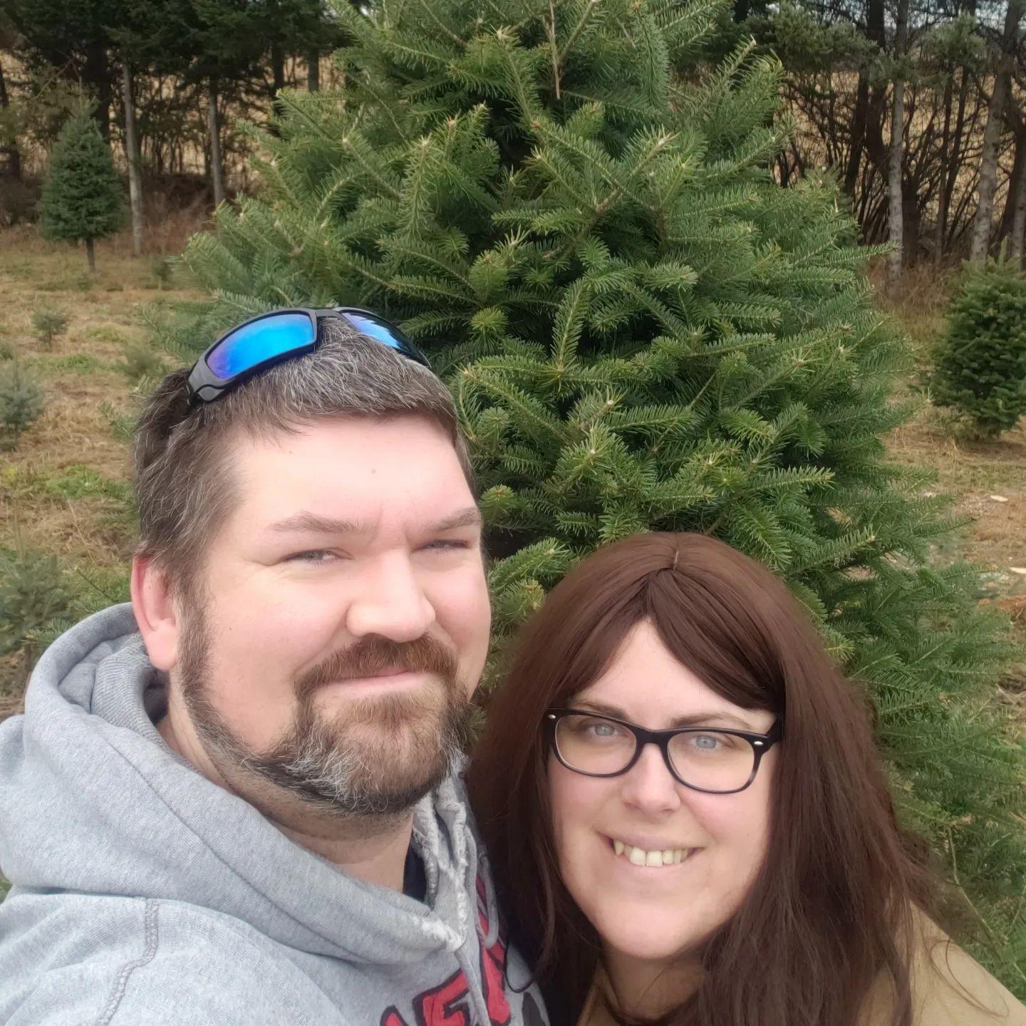 We Clark Griswold-ed this tree