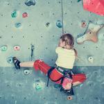 Vertical Endeavors