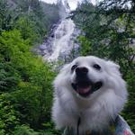Shannon Falls Viewpoint