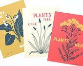Plant Print Trio - Set of 3 Botanical Art...