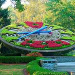 Floral Clock