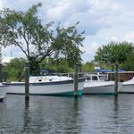 Tilghman Island