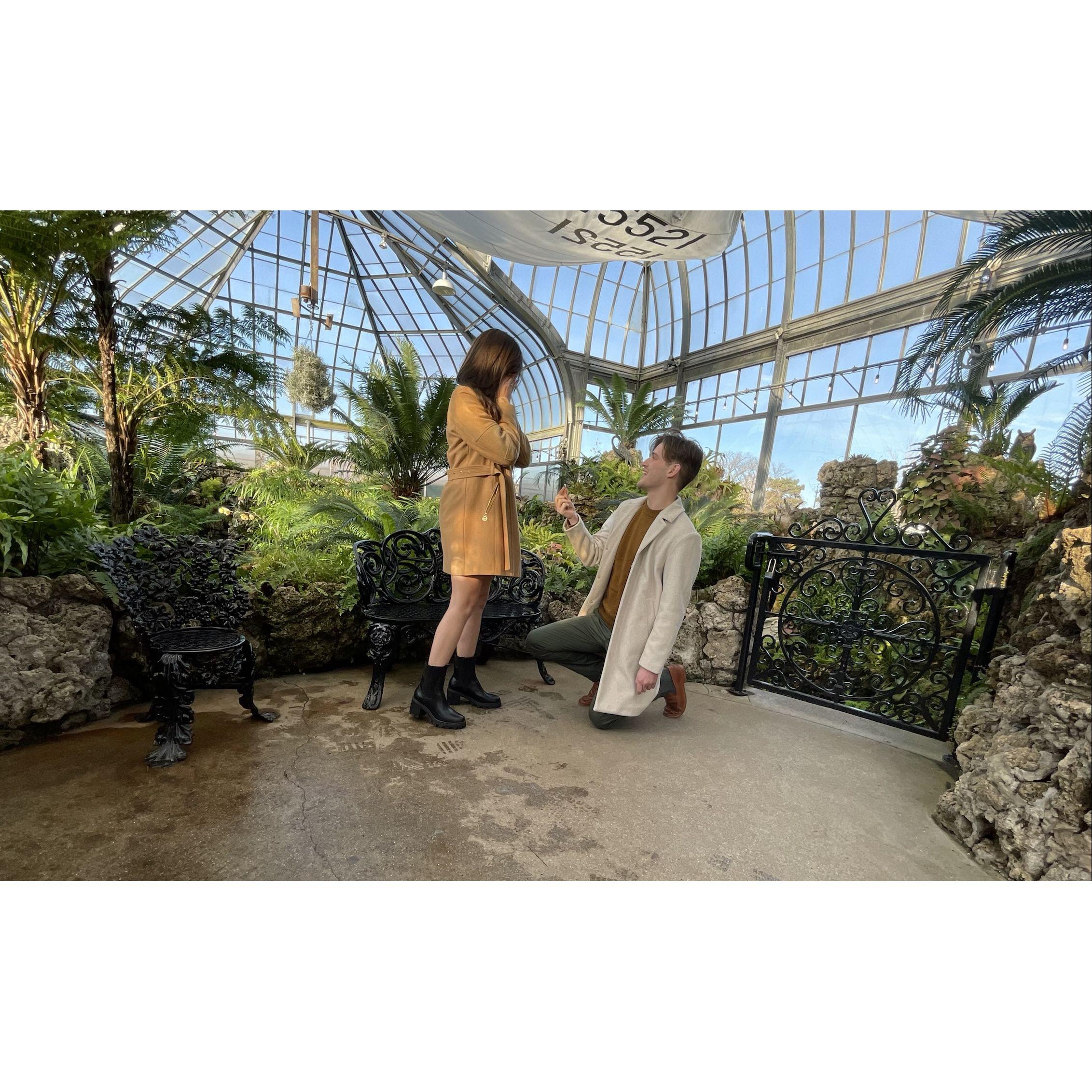 Jacob proposing on December 4th, 2021 at the Belle Isle Conservatory in Detroit.