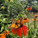 Woodland Park Zoo