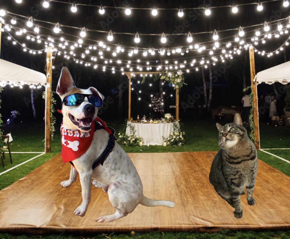 The Wedding Website of Anndrew Michael Reinfeld and Emily Jane Moldoff