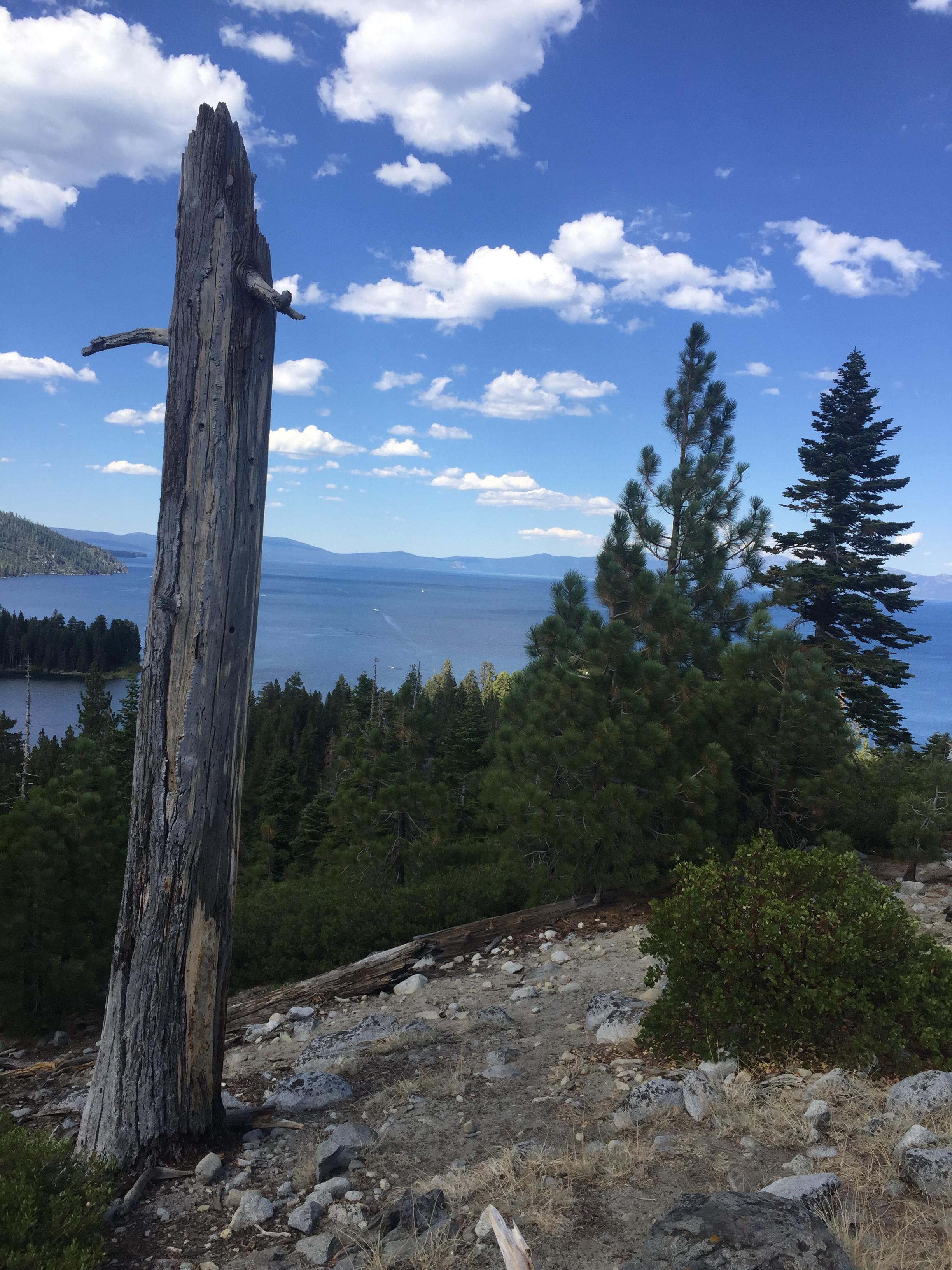 The Wedding Website of Kelly Larocco and Dustin Gordon