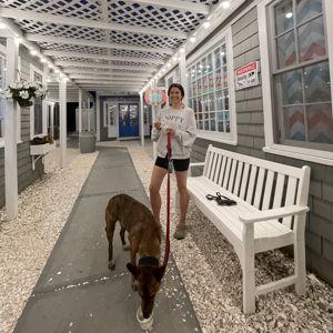 ice cream and pup cup funds