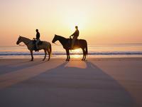 Amelia Island Horseback Riding