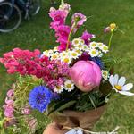 Kenmore Farmer's Market