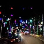 Blackhawk Bluff Neighborhood Holiday Light Display