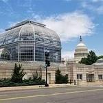 United States Botanic Garden