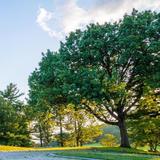 Valley Forge National Historical Park