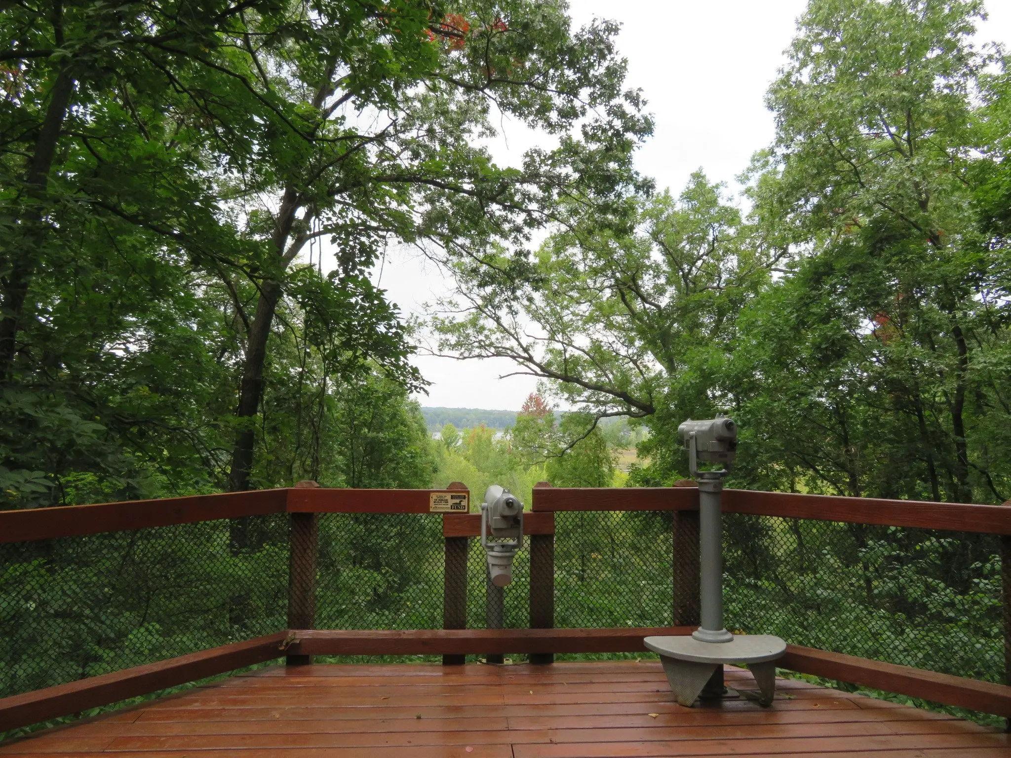 The Wedding Website of Adrian Hayes and Joshua Gale