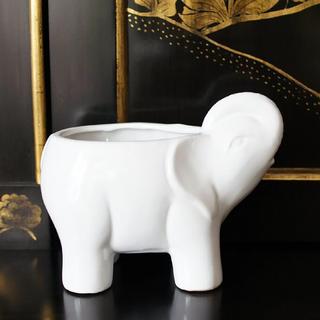 Lotus & Lily Elephant Candle