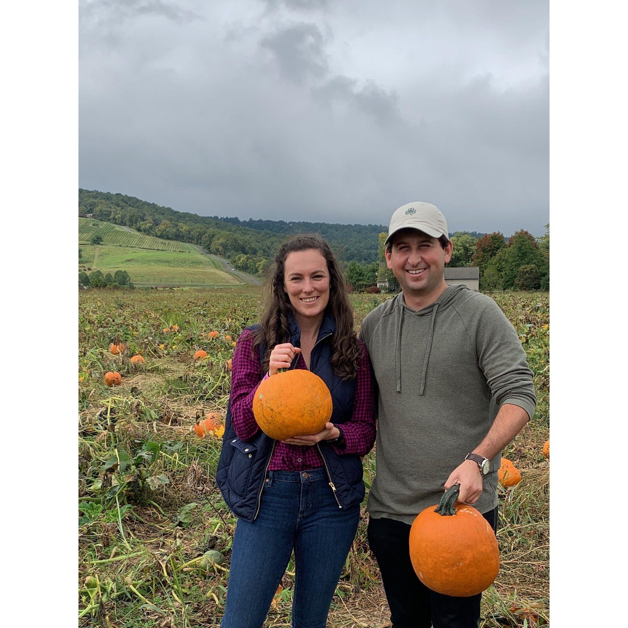September 2020 picking pumpkins in Bluemont, Virginia