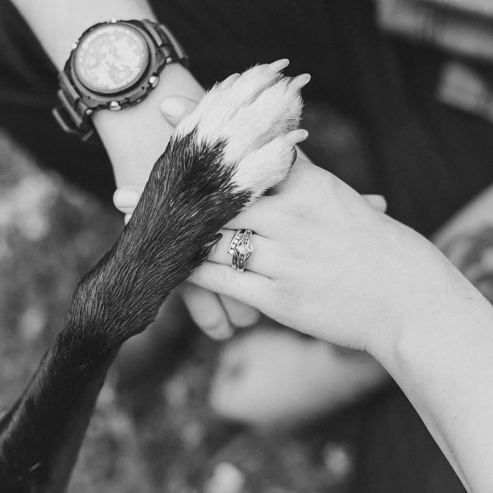 The Wedding Website of Justyne Zumwalt and Kyle Jackson