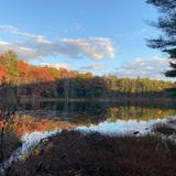 Lily Lake