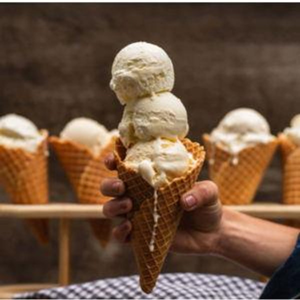 Tillamook Creamery Tour