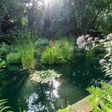 Beal Botanical Garden