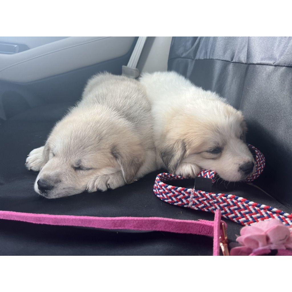 First day with the kids