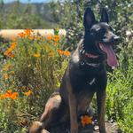 Wildwood Regional Park