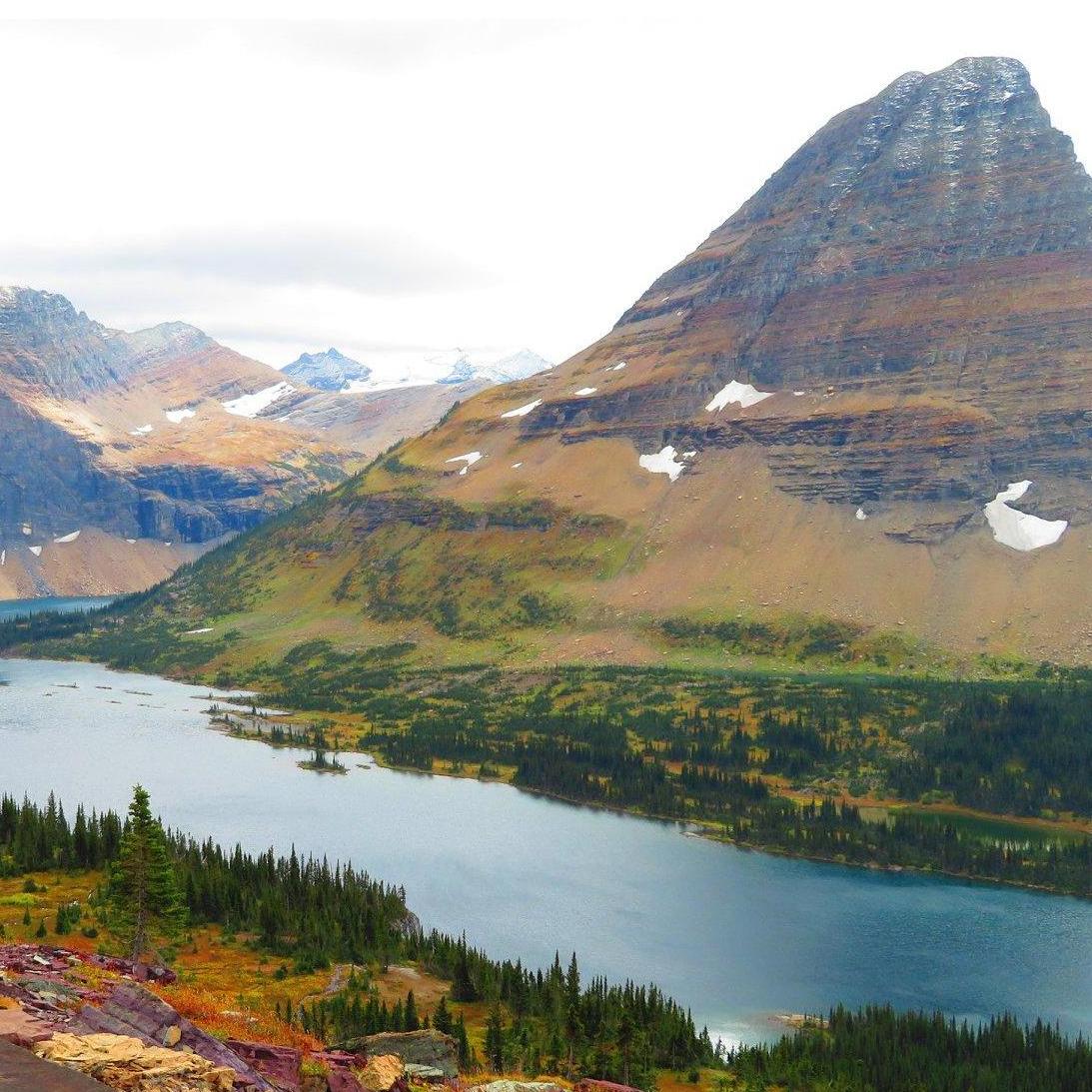 This is Logan Pass in Glacier National Park and where he popped the question!