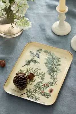 Printed Archival Tray, Small