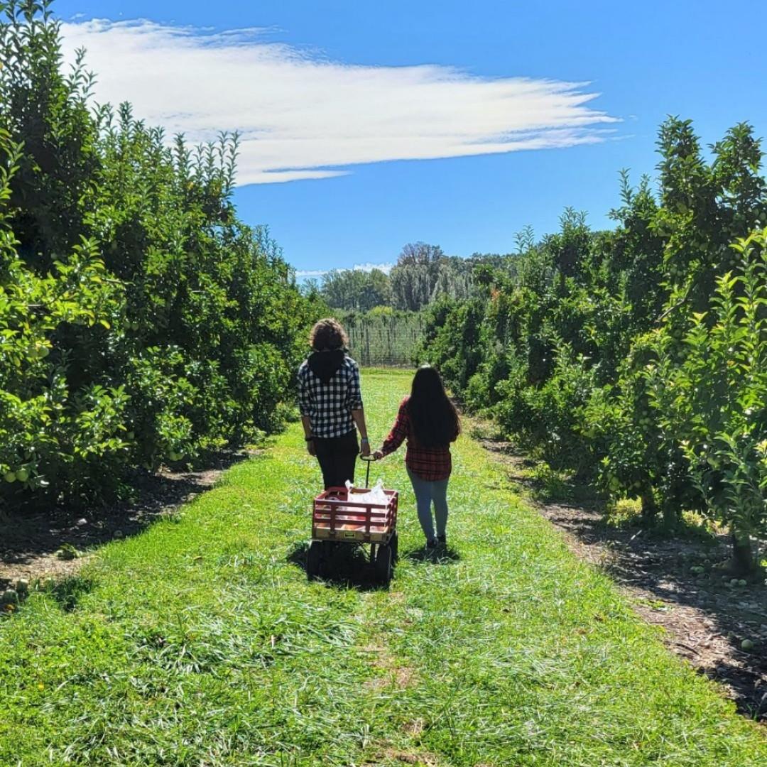 2022 Family Apple Picking