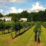 Stonefield Cellars Winery