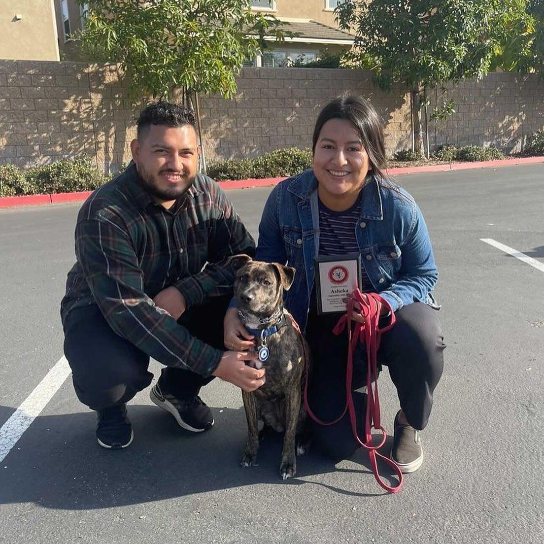Hella degrees in our household but we are proudest of this one! Paws Up Dog Training, Class of 2021 (2021)