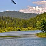 White Pines Lake