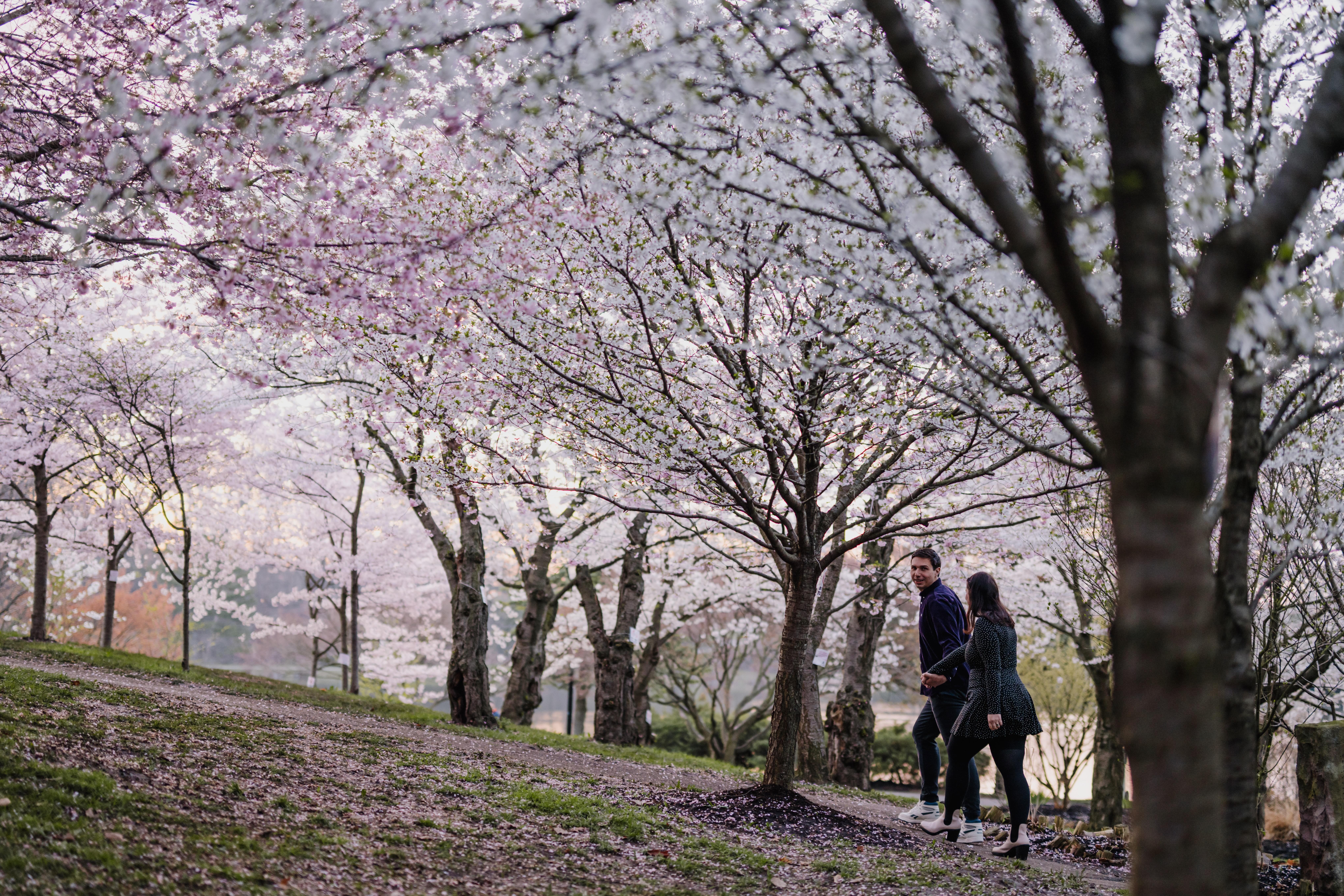 The Wedding Website of Courtney Rosiek and Dylan Goodsell