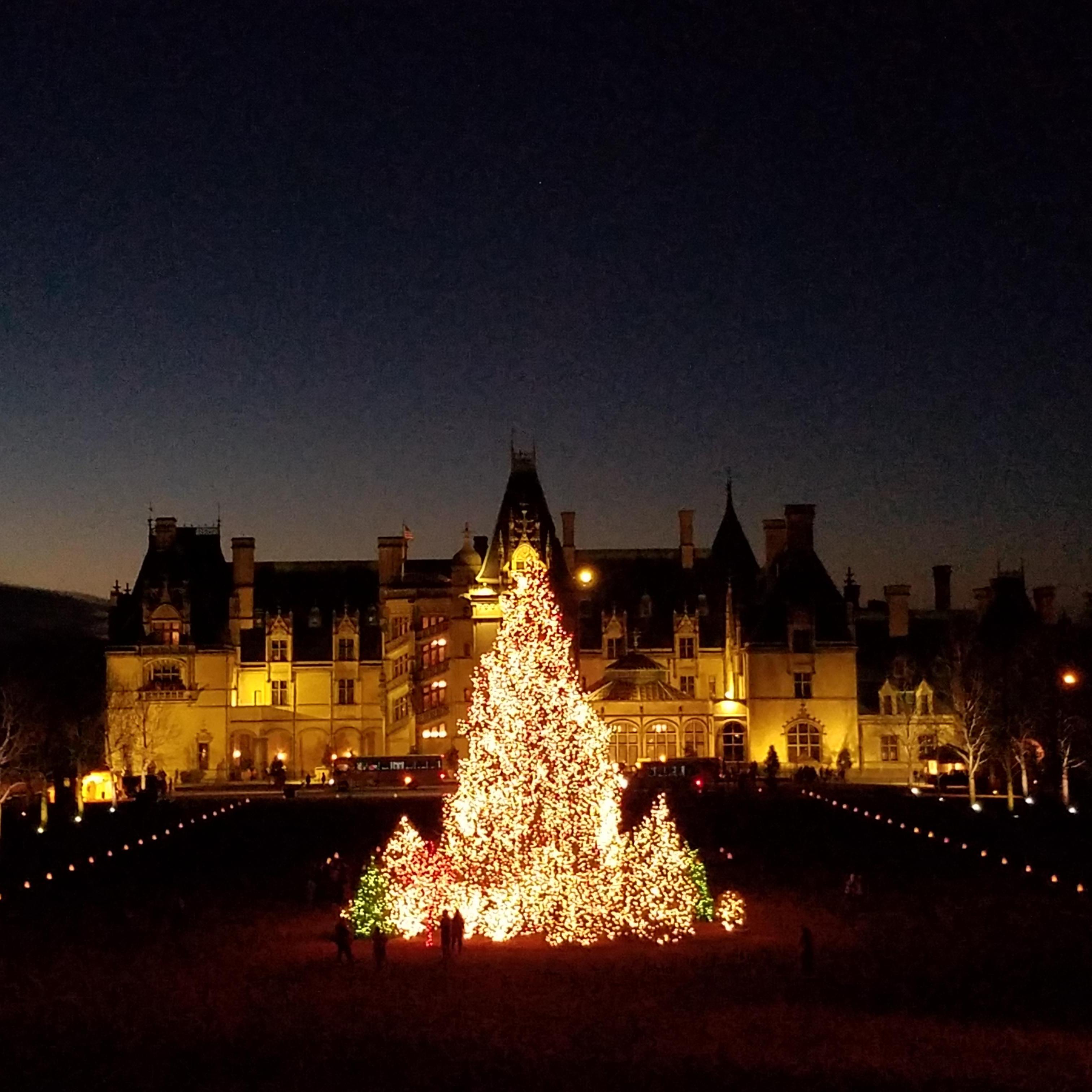 The Biltmore, where he proposed
