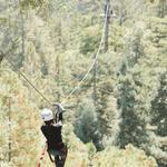 Sonoma Zipline Adventures