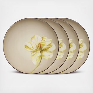 Colorwave Accent Plate, Set of 4