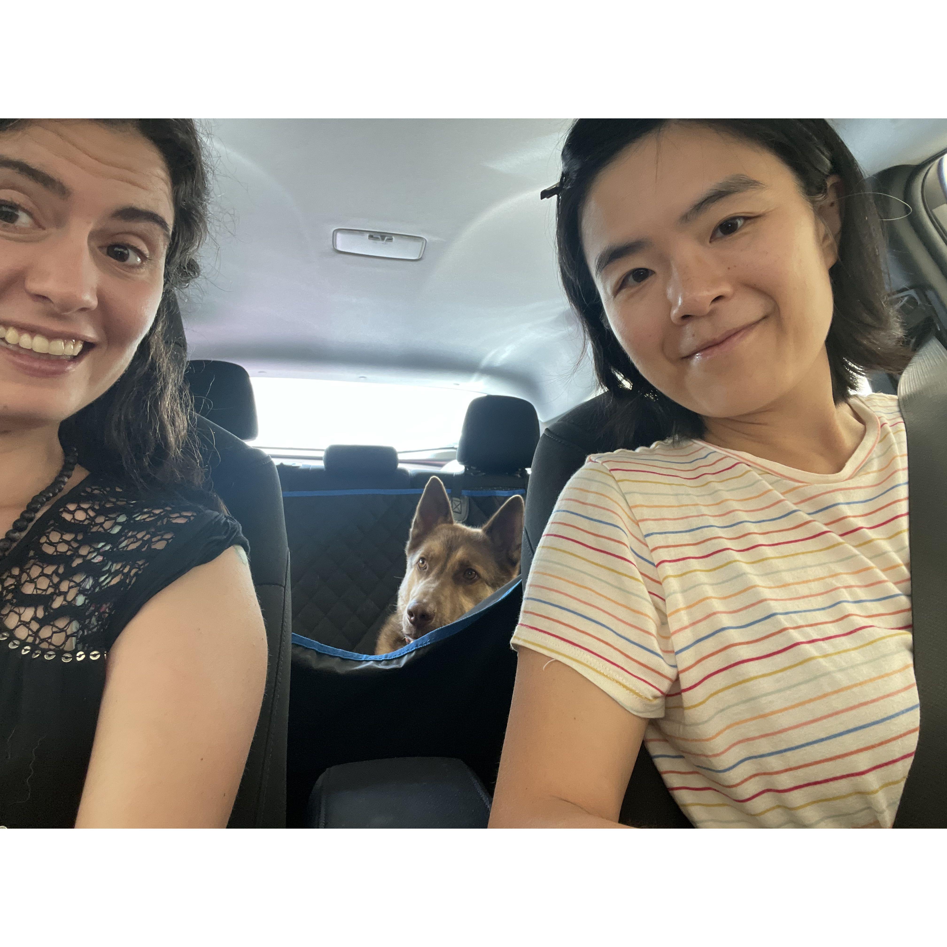 Three little constant travelers headed to SD.