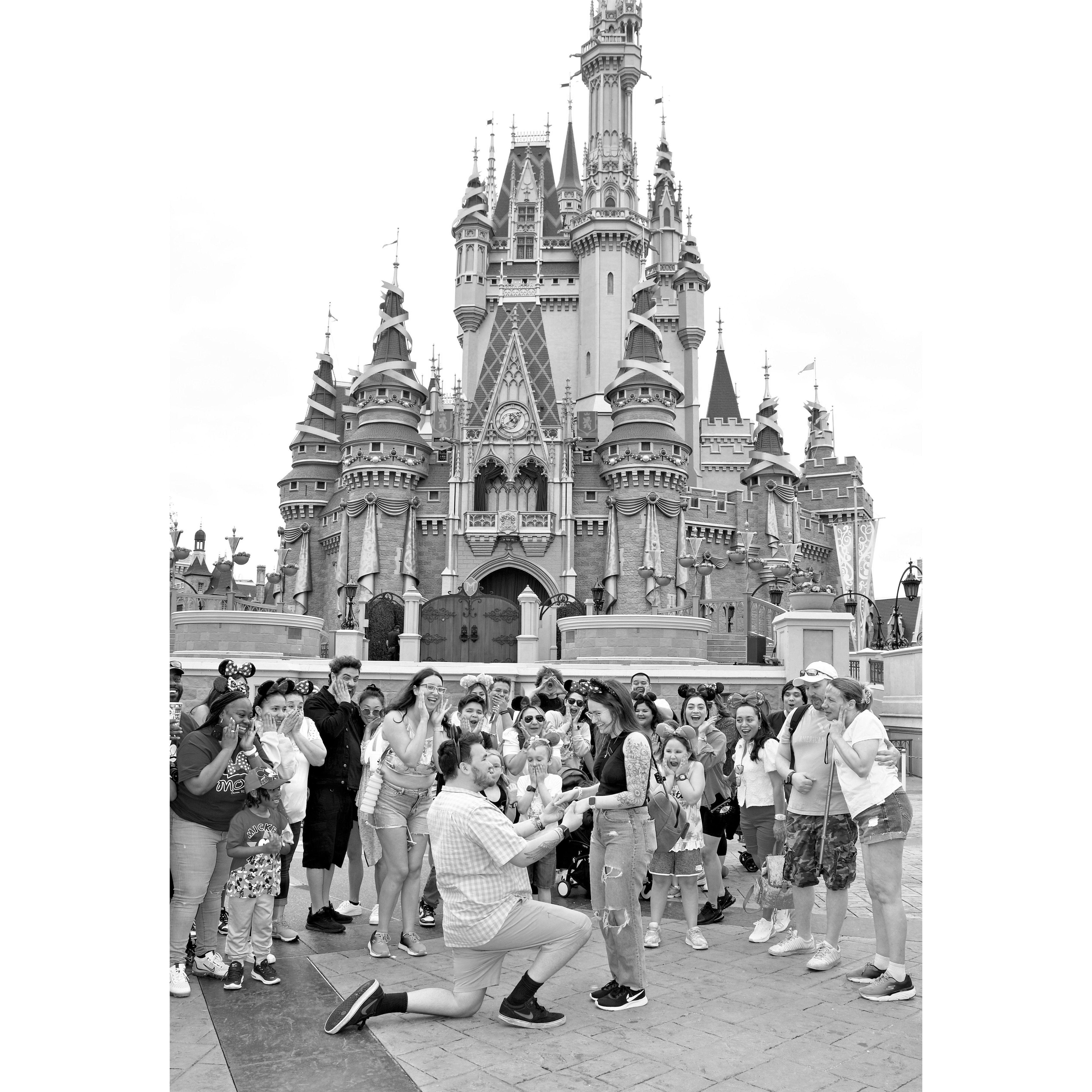 Reece proposing at Disney World!