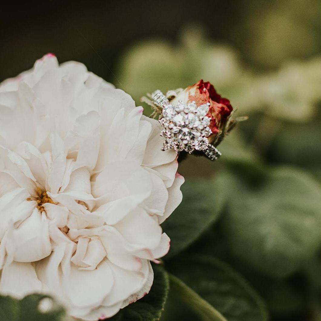 Engagement Photos - Mellon Park