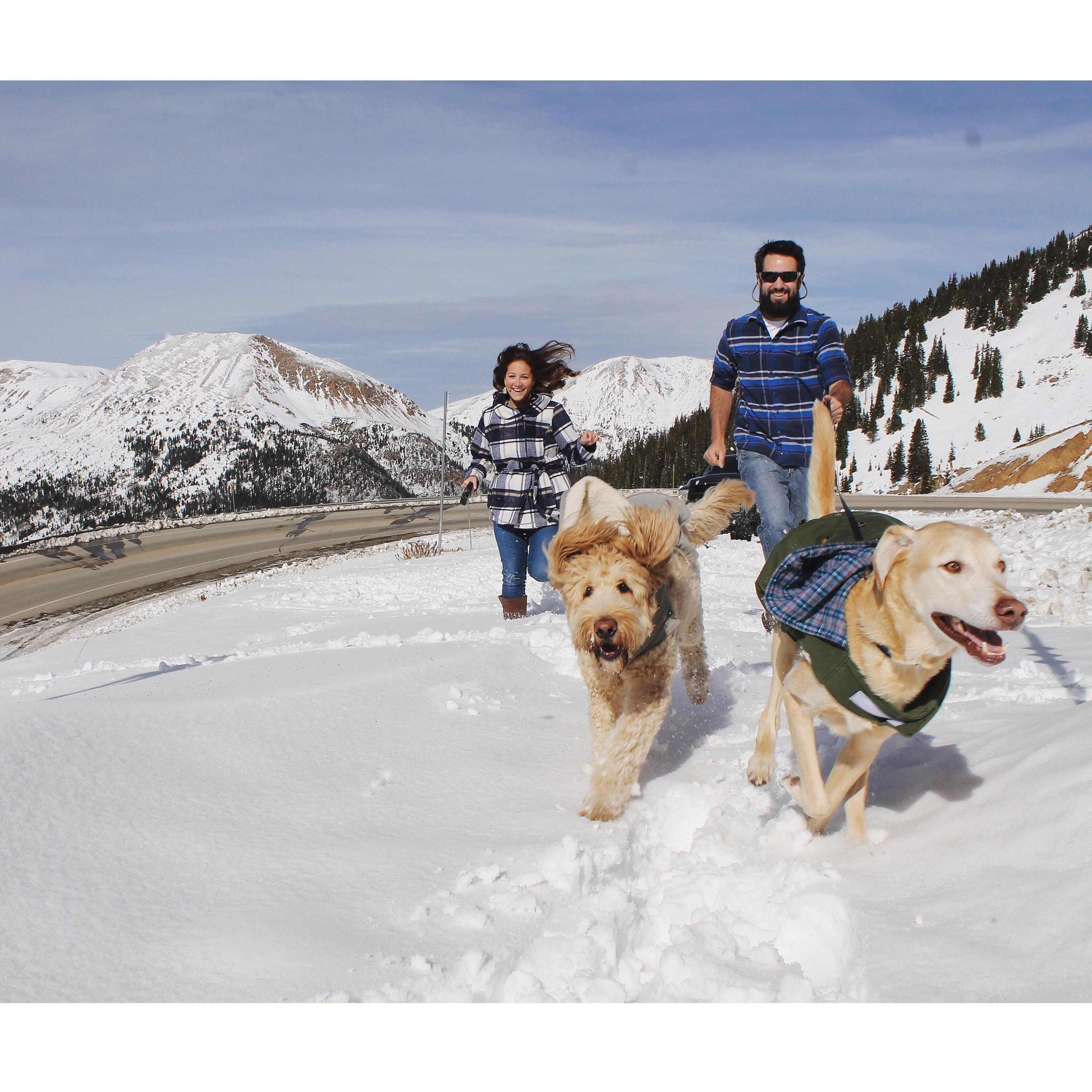 Our boys. These guys are our fur children, and I truly mean children. We've bonded so much over how much we love these guys! Loveland Pass, Colorado.