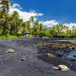 Punaluʻu Beach