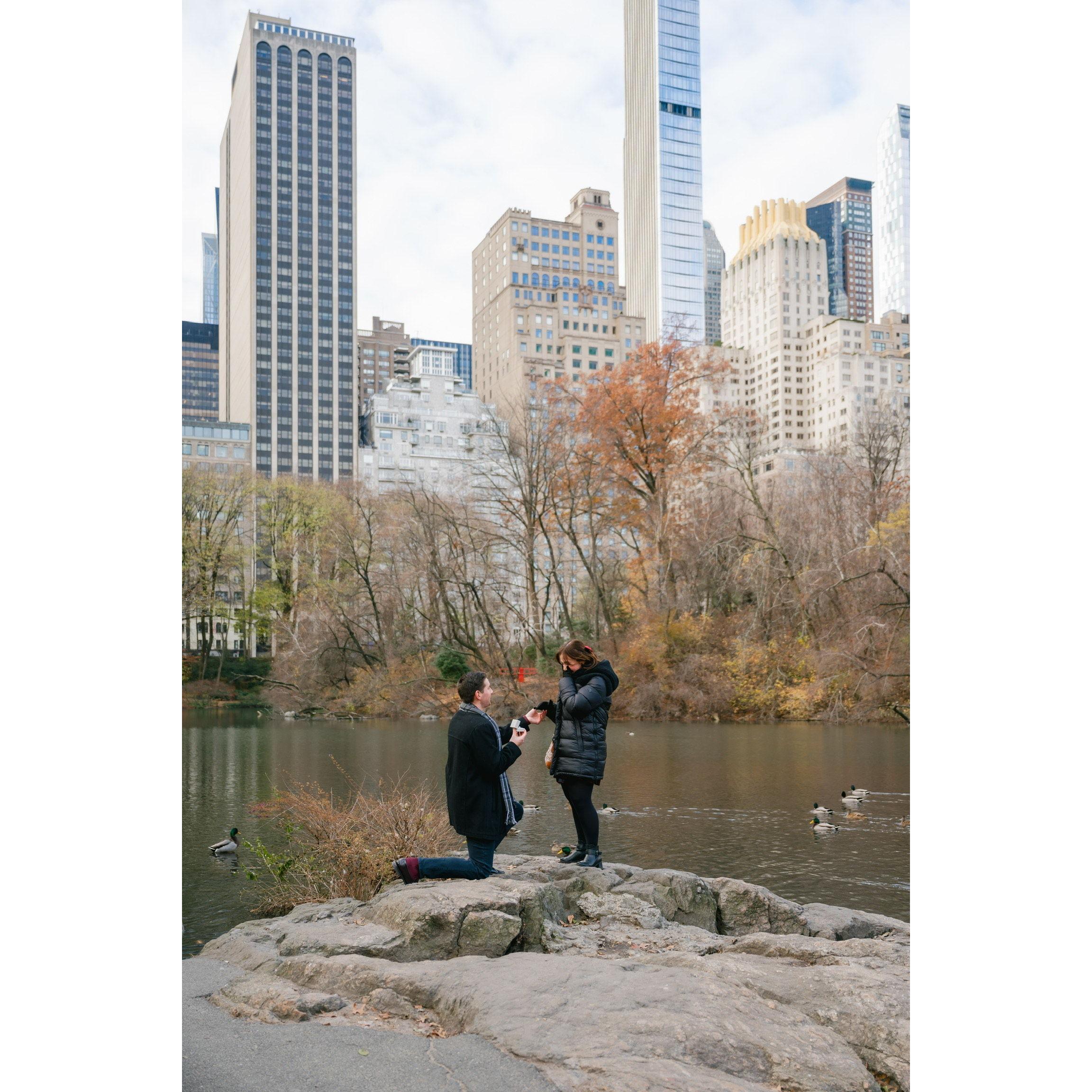 The most beyond perfect proposal