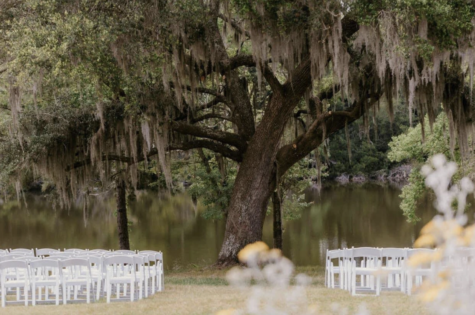 The Wedding Website of Lauren Stelluti and James Darling