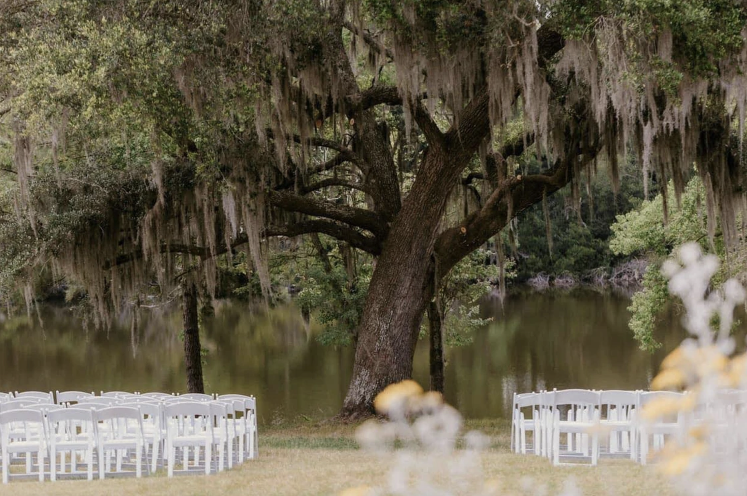 The Wedding Website of Lauren Stelluti and James Darling