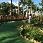 Mini Golf